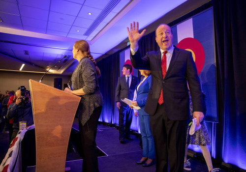 What is the Central Colorado Democratic Party's Position on Healthcare Reform?